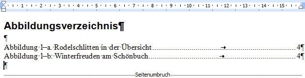 Ergebnis von Abbildungsverzeichnis erstellen