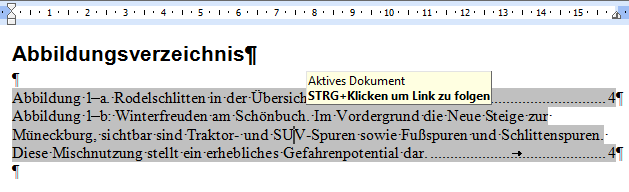 Problem lange Beschriftungen beim Abbildungsverzeichnis
