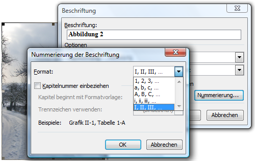 Beschriftung Abbildungen mit Nummerierung