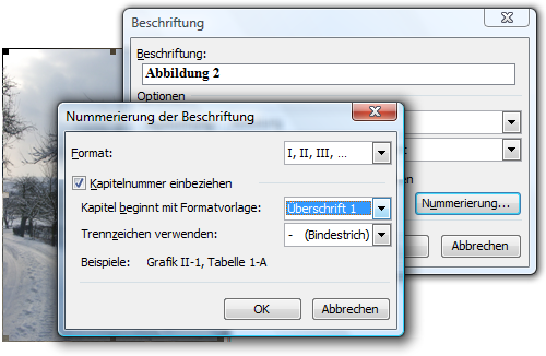 Beschriftung Abbildungen mit Kapitelnummer