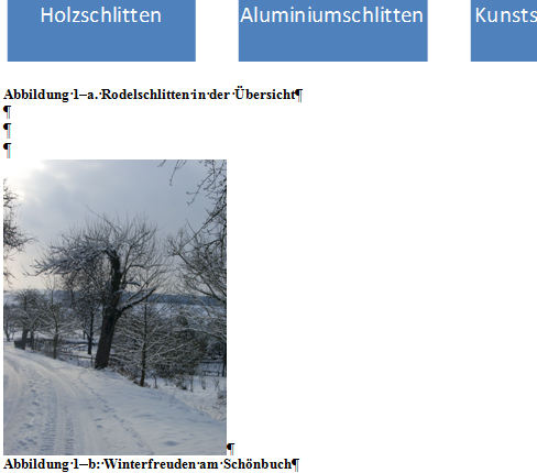 Ergebnis Beschriftung Abbildungen