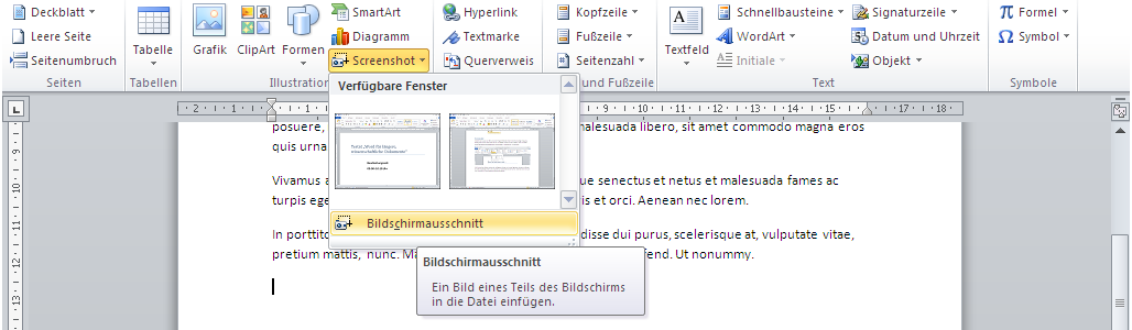 Neu in Word 2010 – Menüleiste – Einfügen – Screenshot - Bildschirmausschnitt