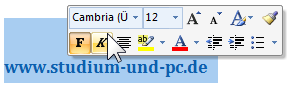Microsoft Office Minisymbolleiste