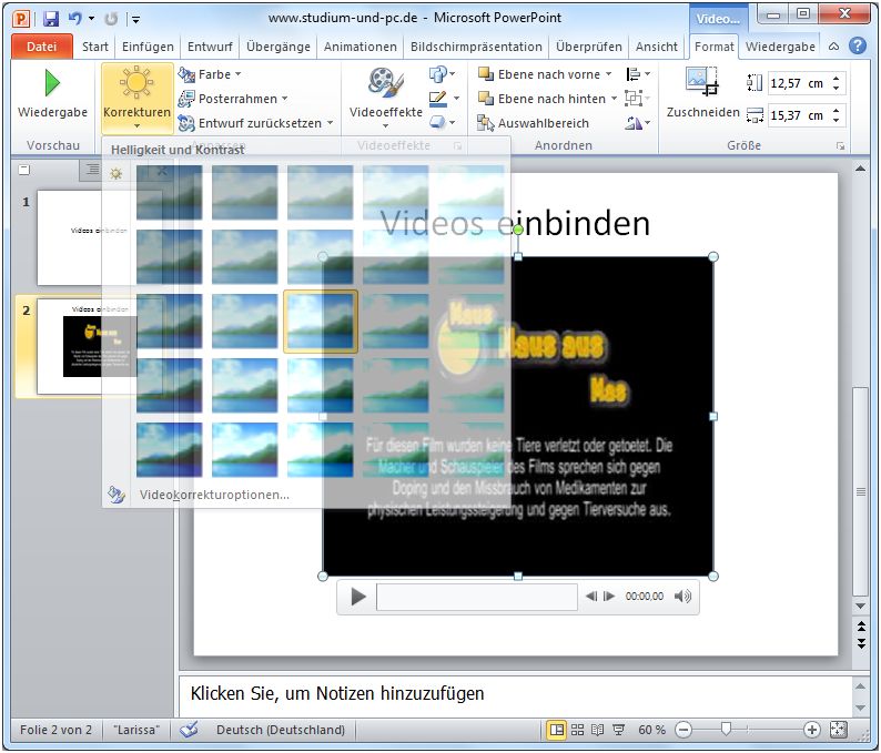 Videokorrekturen