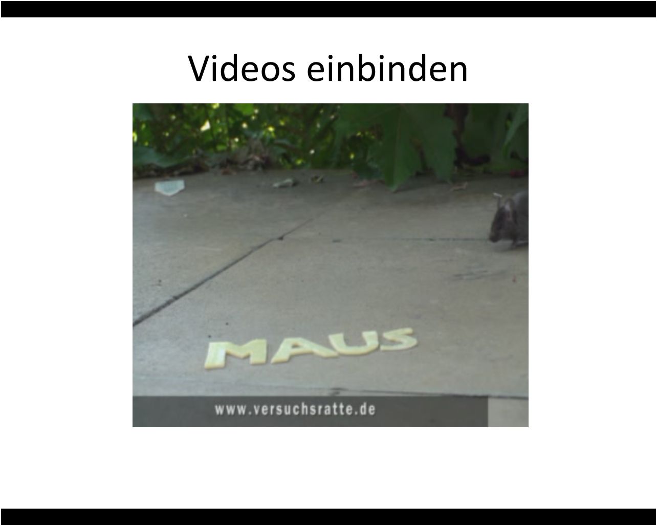 Video anzeigen