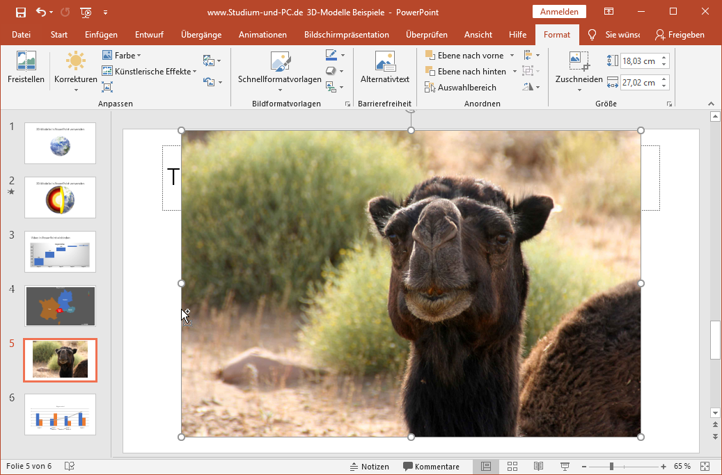 Bilder Freistellen Mit Powerpoint Storende Bildbereiche Entfernen