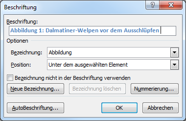 Text für Abbildungsbeschriftung