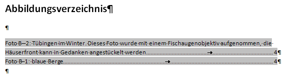 Problem sehr ausführliche Beschriftung
