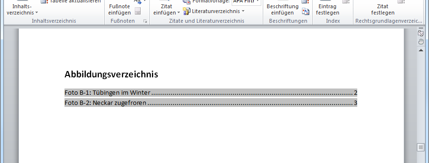 Ansicht des Abbildungsverzeichnisses im Text