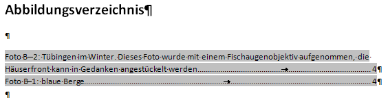 Ansicht einer langen Beschriftung im Abbildungsverzeichnis