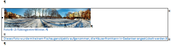 Ansicht von Bild/Grafik und Beschriftung in einer Tabelle